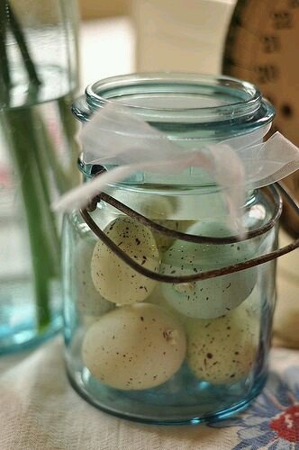 12535fdd5fa72a2ed28043762d8fd7bb