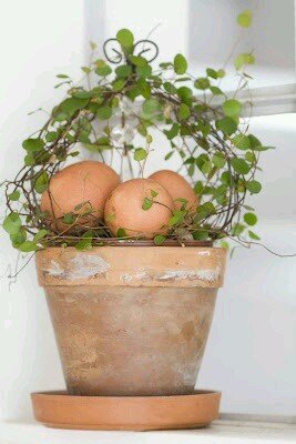 2dc5e199b08ae3fa21a2b6ccd965eb5b