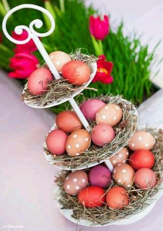 6e7923f17a2a847058dbd9a60d15e868