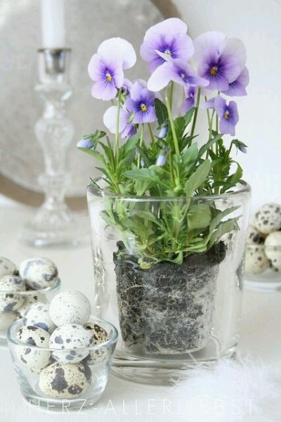 86bc0d80dafe4a1a4d858972b4f15af2