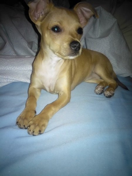 11212764_958847740814712_1165284897496535418_n