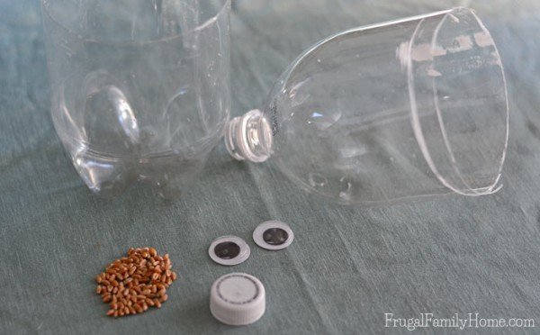 DIY-Chia-Pet-Items-600x372