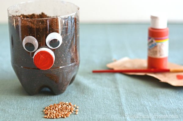 DIY-Chia-Pet-Ready-to-Plant