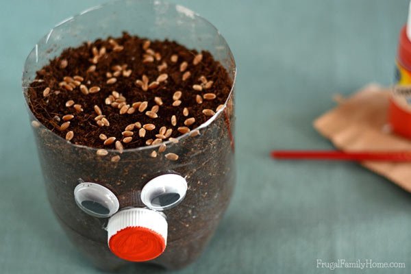 Planting-Seeds-for-Chia-Pet