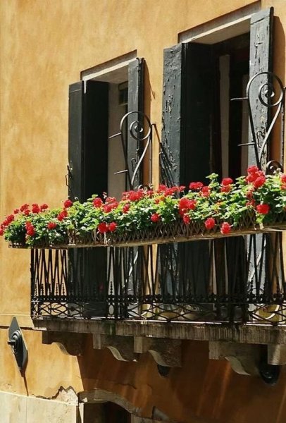 010c5eeaf9a9e36812d7433a4263b3ef