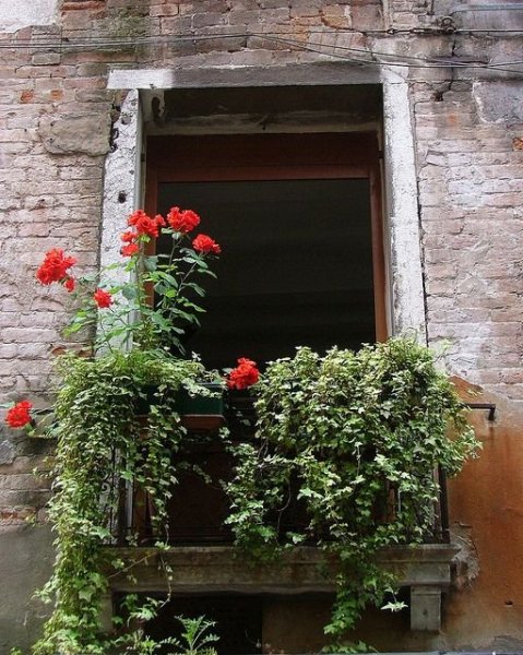 06cdbaa82d6e5a2bab3d70b618a9ebad