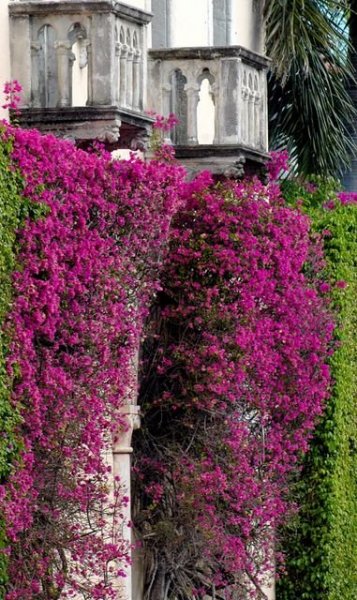 ae653c95913317bb9d1269d6bf1c6682